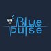 Blue Pulse Diving - Cursuri scuba diving